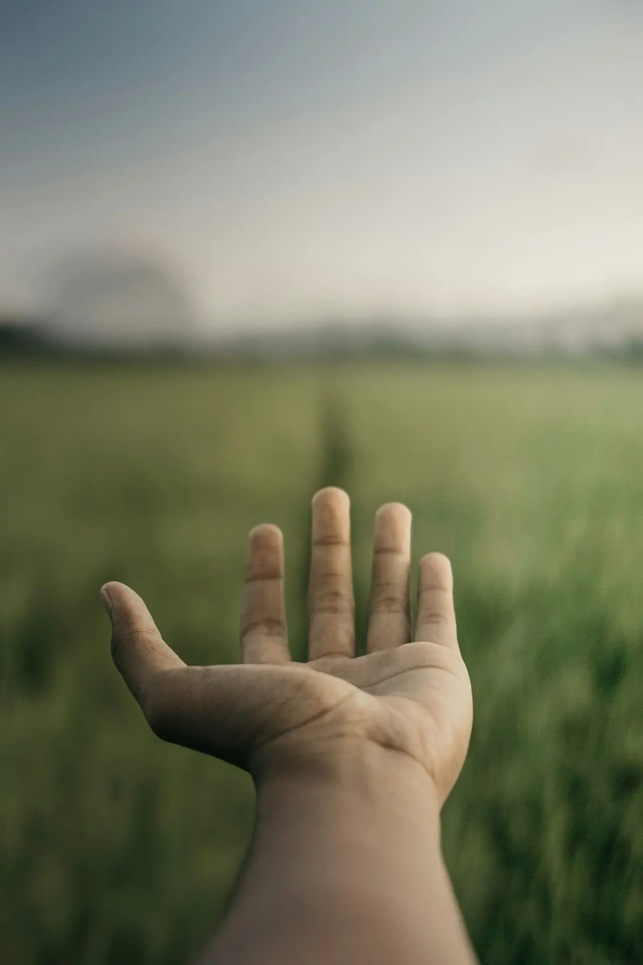 a person holding their hand out in a field